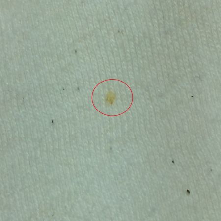  PEARLY GATES パーリーゲイツ 半袖Tシャツ アイボリー×イエロー ハワイプリント コットン100％ サイズ5 Lサイズ相当 メンズ