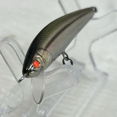 RayTune レイチューン ルアー ミノー レギュラーグレード カワムツ