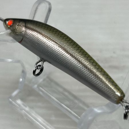 RayTune レイチューン ルアー ミノー レギュラーグレード カワムツ