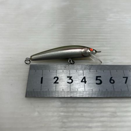 RayTune レイチューン ルアー ミノー レギュラーグレード カワムツ