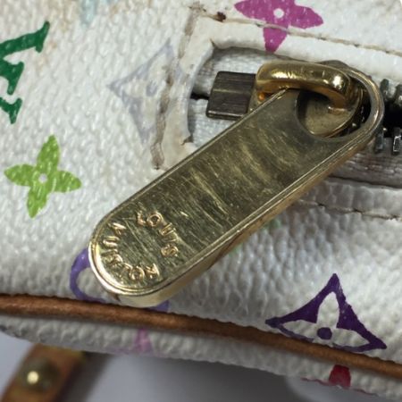  LOUIS VUITTON ルイヴィトン トゥルースワピティ ポーチ モノグラム マルチカラー  M58033