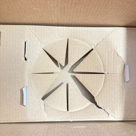   SEGA セガトイズ 動く絵本プロジェクター ドリームスイッチ