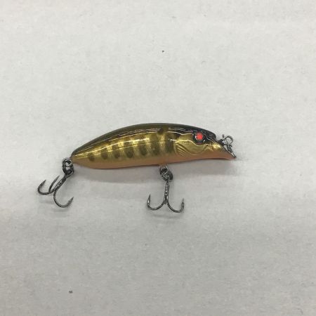  レイチューン ルアー ストリームアーマー #GイワナOB デビルアイ 50S