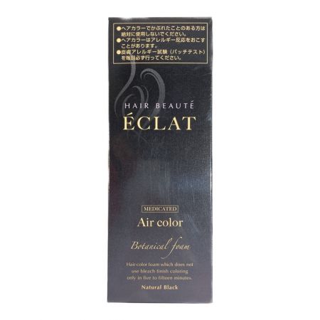  ECLAT ヘアボーテ エクラ ボタニカル エアカラーフォーム ナチュラルブラック 80g 白髪用 白髪染め