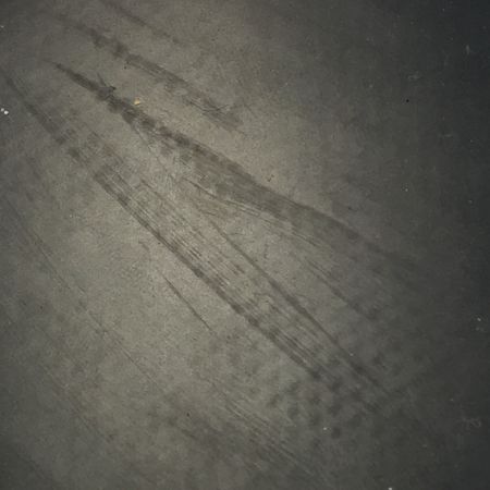   VICTAS ヴィクタス 卓球 ラケット 丹羽孝希 191.2g