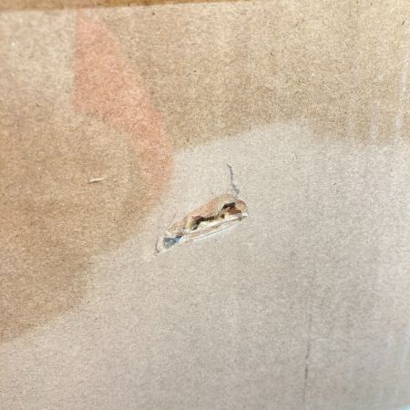  BALMUDA バルミューダ The Toaster スチームトースター 二枚焼き K01E-KG ブラック 未開封