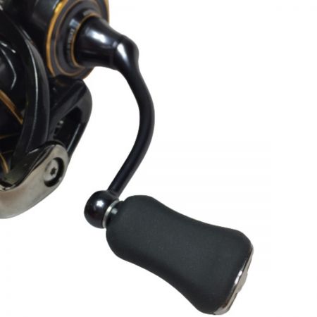  DAIWA ダイワ 21 CALDIA カルディア LT2500S-XH 00060287 スピニングリール