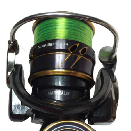  DAIWA ダイワ 21 CALDIA カルディア LT2500S-XH 00060287 スピニングリール
