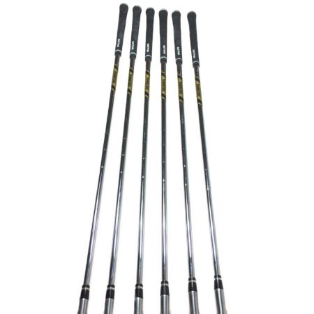  TaylorMade テーラーメイド P・760 FORGED 5-9.P 6本 アイアンセット Dynamic Gold S200