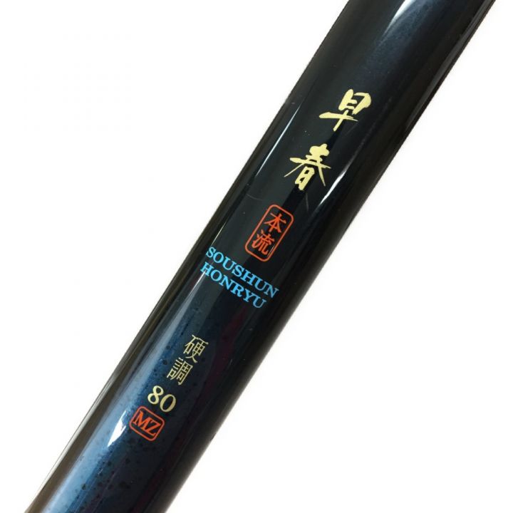 DAIWA ダイワ 早春 本流 硬調 80MZ 70-80 マルチレングス 06309420 渓流竿｜中古｜なんでもリサイクルビッグバン