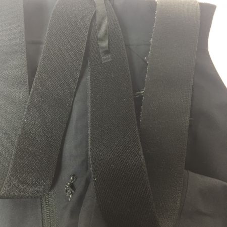  BURTON バートン ウインター スノー ビブパンツ　メンズ  ak サイクリック GORE-TEX  ブラック JPN：Ⅼ