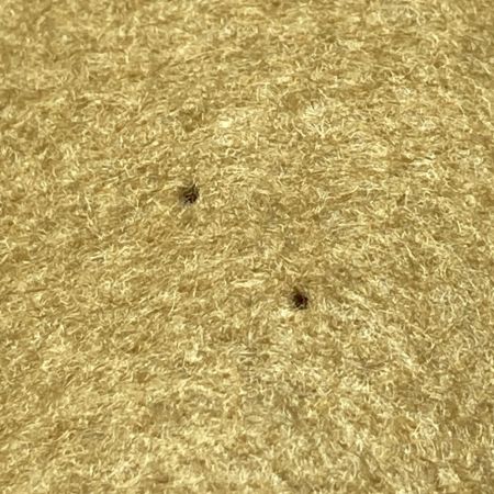  LOUIS VUITTON ルイヴィトン エピ サン・ジャック M52269 イエロー ショルダーバッグ