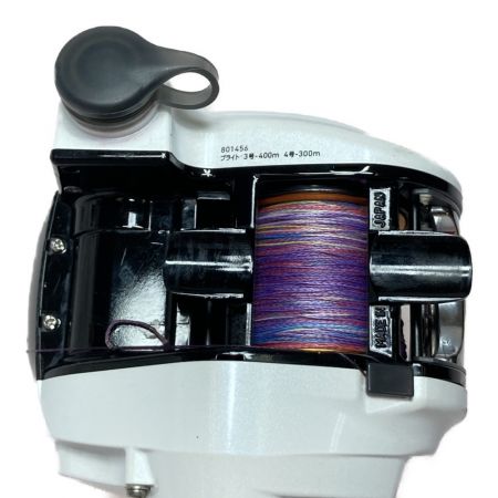  DAIWA ダイワ LEOBRITZ レオブリッツ 300J 電動リール 00801456