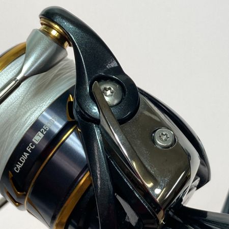  DAIWA ダイワ 21 CALDIA カルディア FC LT2500S スピニングリール