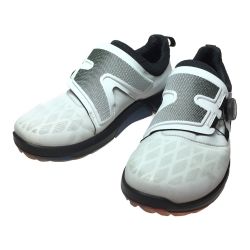 ◎◎ ECCO BIOM HYBRID4 BOA バイオム ハイブリッド4 ボア パフォーマンスフィット 26.0cm Cランク