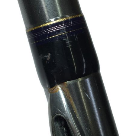  DAIWA ダイワ HZ スーパーインターライン 剣崎T 150-300 05282977