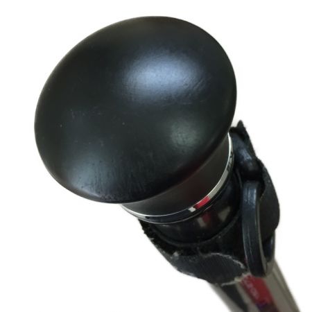 DAIWA ダイワ HZスーパーインターライン 剣崎T 150-270 05282975