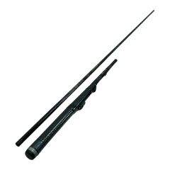 DAIWA ダイワ 磯竿 カーボウィスカー CW 汐音 1号39 Bランク