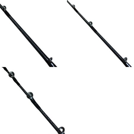  DAIWA ダイワ 早技 KAREI カレイ 食わせ 30-160 05284823 船竿