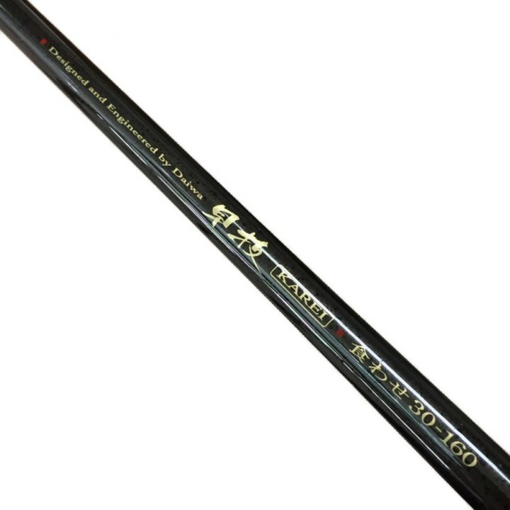 DAIWA ダイワ 早技 KAREI カレイ 食わせ 30-160 05284823 船竿｜中古｜なんでもリサイクルビッグバン