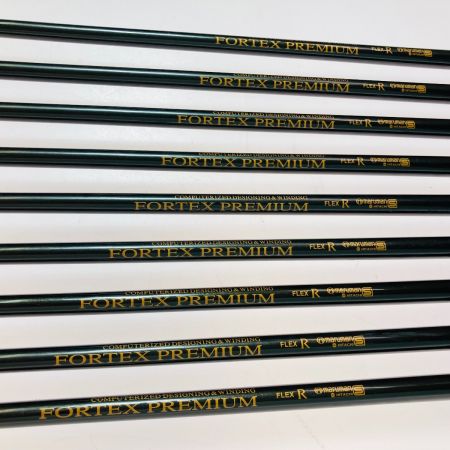 maruman マルマン BIGWIN X-ZONE 4-9.P.A.S 9本 アイアンセット FORTEX PREMIUM R