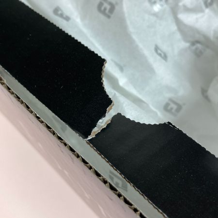  FOOTJOY eコンフォート ゴルフシューズ WOMEN'S 22.5cm BOA