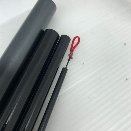  DAIWA ダイワ 万能竿 波路 硬調50SX 06310625