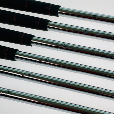  WORLD EAGLE ワールドイーグル F-01 6-9.P.S 6本 アイアンセット レフティ スチールシャフト R