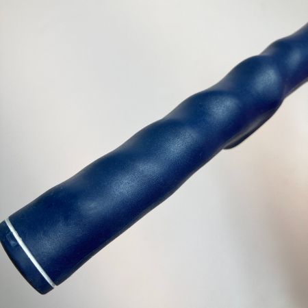   菅原大地プロ監修 デュアルトレーニングセット サイコースピーダー スイングコーチャー