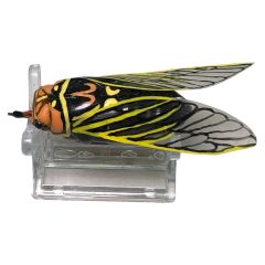  イクシュス ハンドメイドルアー セミ型 Aランク