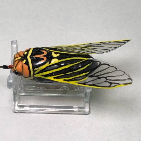  イクシュス ハンドメイドルアー セミ型