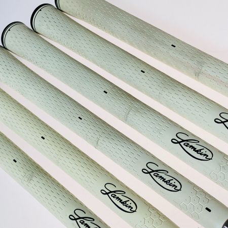  PRGR プロギア GN502 TOUR FORGED 5-9.P 6本 アイアンセット 110 SPEC STEEL II M-46 (X相当)