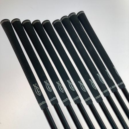  Bridgestone ブリヂストン Synergy 5-10.P.A.S 9本 アイアンセット synergy powerkick R