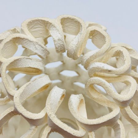  Habit Leather キヌガサシェード ホワイト 型崩れ有