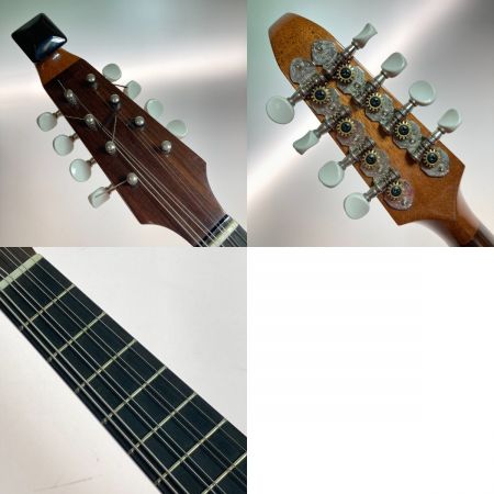  落合 マンドリン 落合 M-8 1弦切れ ハードケース付 弦楽器 現状渡し M-8