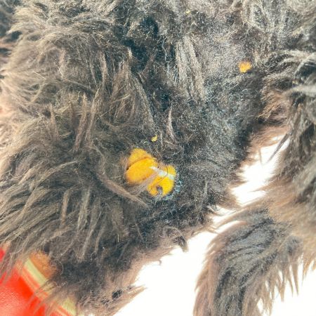  TOHO まごころの人形  大助くん スリーブアイ ぬいぐるみ スニーカー 赤