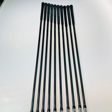  MIZUNO ミズノ MASTERS TI-FACE  HP-99 3-9.P.S.F 10本 アイアンセット PURE SELECT R