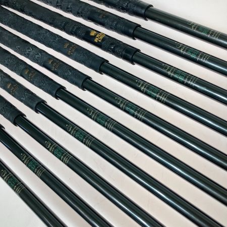  MIZUNO ミズノ MASTERS TI-FACE  HP-99 3-9.P.S.F 10本 アイアンセット PURE SELECT R