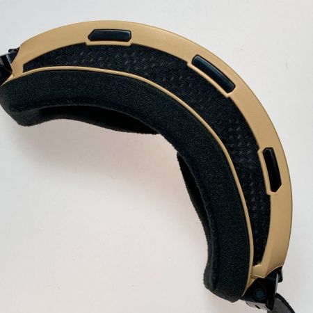  DICE スキーゴーグル 19-20年モデル BK94265OR BANK-CU/LPICEd-PAF オレンジ