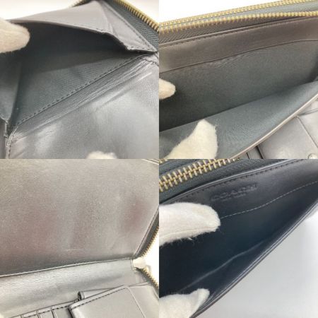  COACH コーチ ダブル ジップ トラベル オーガナイザー シグネチャー セカンドバッグ F66562 ブラック