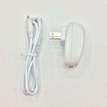  SHARP シャープ 超音波ウォッシャー　 UW-S2-P