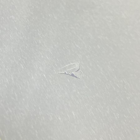  SALOMON サロモン スノーボード 板 LOTUS 151 レディース L47660700