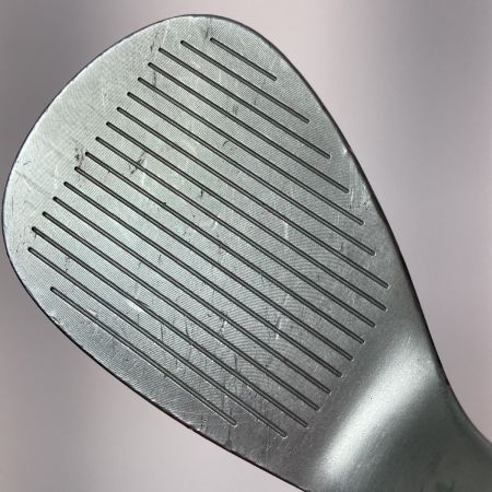  Edel Golf イーデルゴルフ DGR We 60° ウェッジ  Dynamic Gold 120