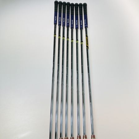  Titleist タイトリスト SPECIAL EDITION 3-9.P 8本 アイアンセット Dynamic Gold S200