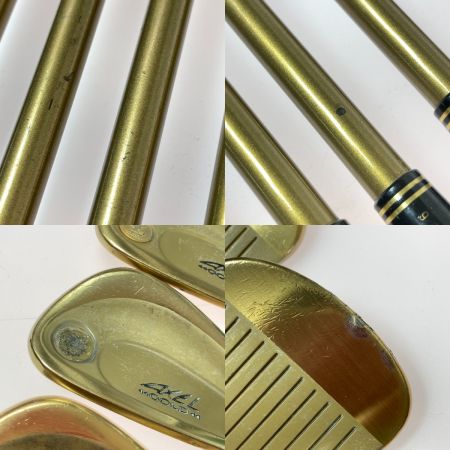   つるや AXEL GOLD 3-9.P.A.S 10本 アイアンセット