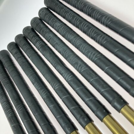   つるや AXEL GOLD 3-9.P.A.S 10本 アイアンセット