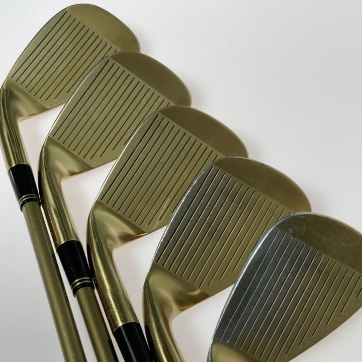 つるや AXEL GOLD 3-9.P.A.S 10本 アイアンセット - 中古スポーツ