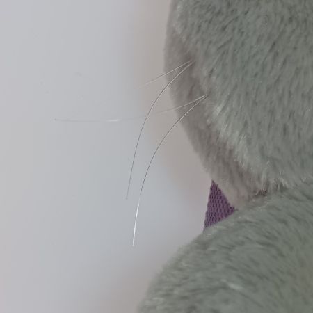   鏡の中のコリラックマ ぬいぐるみリュック プライズ品