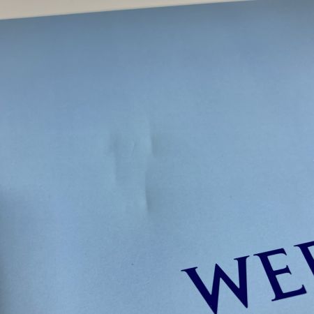  Wedgwood ウェッジウッド 綿毛布 西川産業 140x200