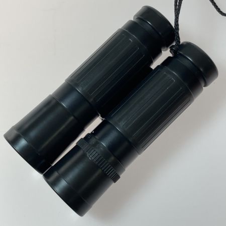 LEICA TRINOVID トリノビット 10X25 BCA コンパクト 双眼鏡 1226465 ケース無